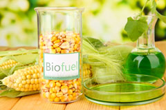 Shipbourne biofuel availability